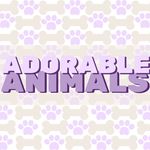 Adorable Animals | BVIRAL™