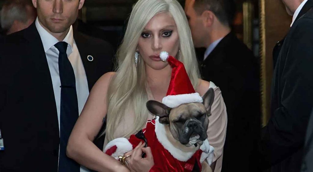 Lady Gaga: man who shot her dog-sitter and helped steal her dogs sentenced to 21 years in prison