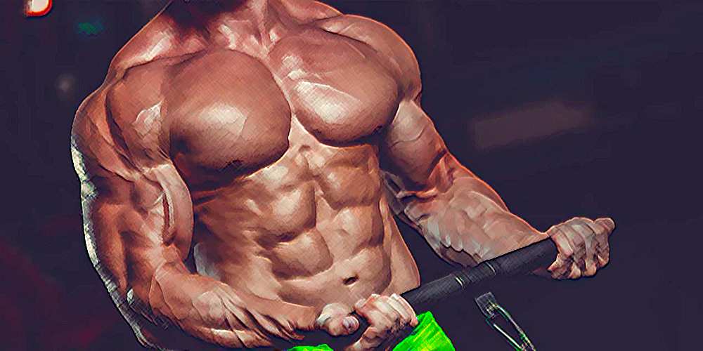 Top Steroide für effektiven Fettabbau und Muskelaufbau